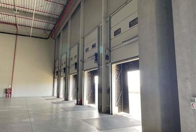 Spatiu de depozitare si productie centru logistic Chitila-Buftea - 3