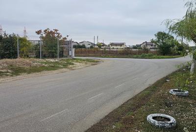 Domnești- Str.Fortului, 742mp, gaze, lumină - 4