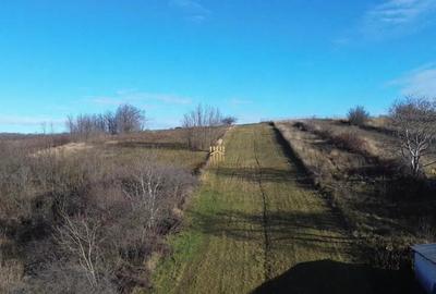 Teren Intravilan 2460 mp Suceava De 0727817187 - 12