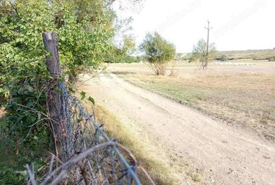 Casă cu Teren 1151 Mp în Ciuchici - 3