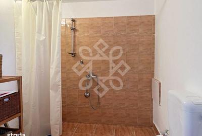 Casă cu 2 camere cu Teren 2052 Mp în Paleu - 15