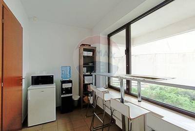 Vanzare Spatiu Comercial / Birou, Str. Popa Tatu -Cismigiu, Investitie - 12