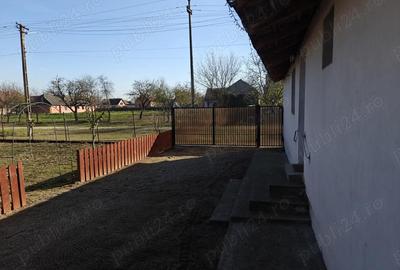 Casă cu 3 camere cu Teren 3500 Mp în Satu Mare - 3