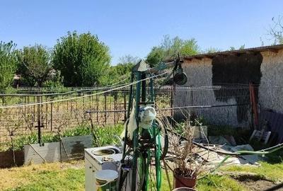 Casă cu Teren 1542 Mp în Mitreni - 3