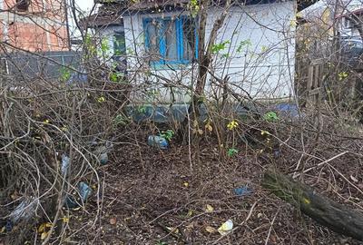 Teren 8000 MP cu casa Demolabila - 4