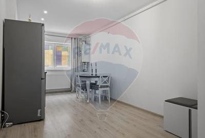 Apartament cu 3 camere semidecomandat, mobilat în Theodor Pallady - 7