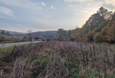 Teren în Moinești - 3