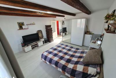 Casă cu 2 camere decomandat cu Teren 1230 Mp în Bocsig - 10