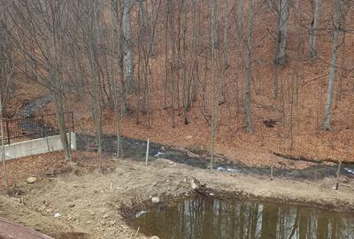 Spațiu comercial, de 700 mp, în Lipănești