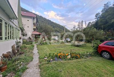 Spatiu de vanzare in Valea Macesului judel Valcea iesire la Lotru - 44