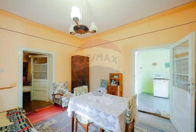 De vanzare casa cu teren de 3036 mp in Bor? - 5