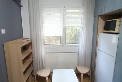 Inchiriere-gars-cf 2-semidecomandata-1/10-Dr Taberei-Plaza-mobilat/utilat-250E - 3