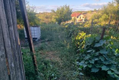 Teren intravilan , 1100mp , front 12,60 m , intrare Filiasi - 7