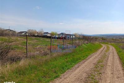 Spațiu comercial, în Vorovești - 4