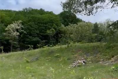 Valea Budului - Teren intravilan. Lac. Padure - 4