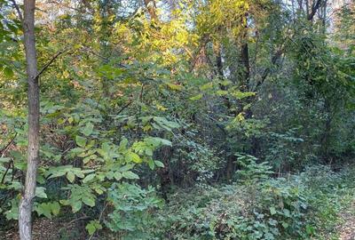 Spațiu comercial, în Nistorești - 1