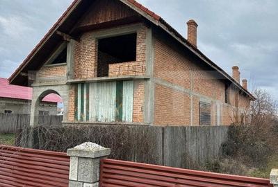 Casa de vanzare la rosu, 10 camere, 246,50 mp, zona Exterior Sud - 18
