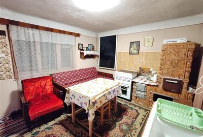 Casa , singur in curte la intrarea in ZIZIN - 4