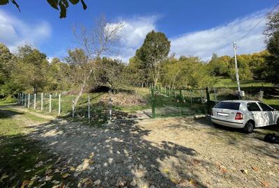 Spațiu comercial, în Provița de Jos - 4