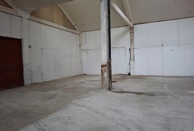 Spatiu depozitare/mica productie 150 mp - 8