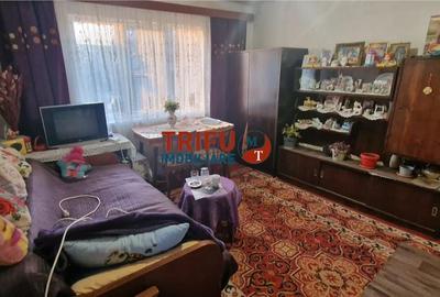 Casă cu 2 camere cu Teren 1100 Mp în Sântimbru - 6