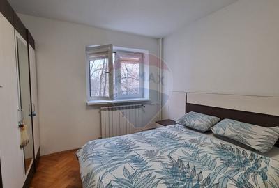 Apartament cu 2 camere semidecomandat, mobilat în Timișoara - 4