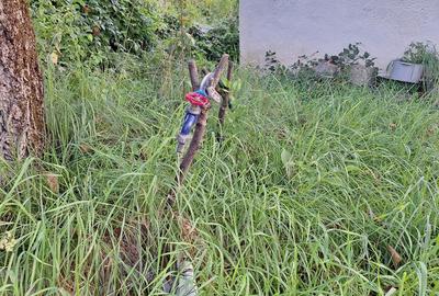 Teren de 29463 mp, în Vătava - 4