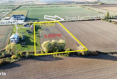 Teren de 8000 mp, în Botiz - 13