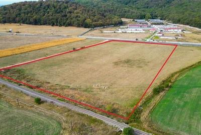 FILM! 60.000 mp, teren intravilan, acces la DN1, Codlea, Brasov - 5