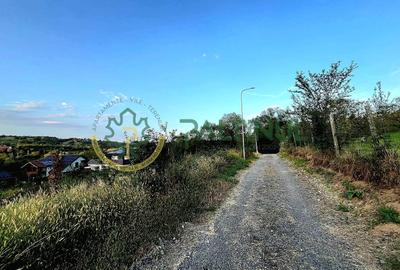 Teren de vânzare Cisnădioara – 2 parcele a câte 1.250 mp, utilități pe teren - 8