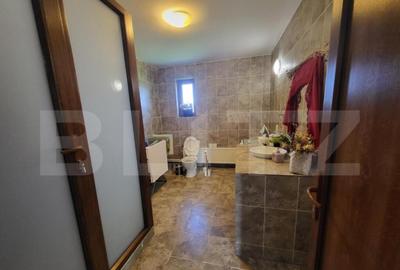 Pensiune moderna 2 margarete , statiunea Paltinis , Sibiu Pensiune moderna 2 margarete , statiunea Paltinis , Sibiu - 10