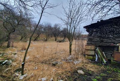 Casă în Ceanu Mic - 3