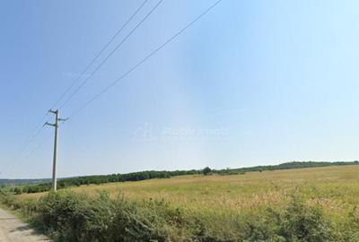 Forotic, Teren Drept Pentru Investitie, 13.2 Hectare (132.00 - 7