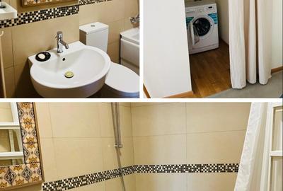 Închiriez apartament cu 2 camere și terasă - 16