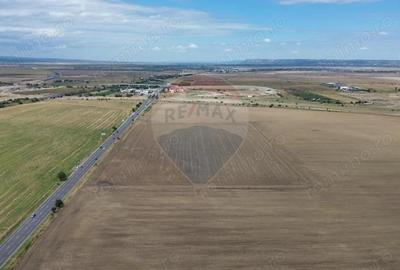 Teren de 27500 mp, în Tișița - 1