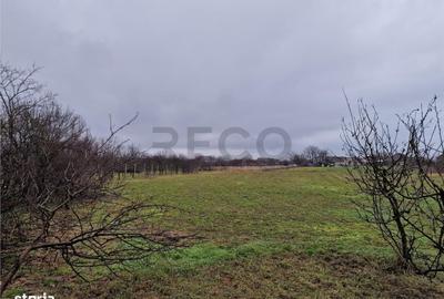 Casă cu 4 camere cu Teren 4600 Mp în Gepiu - 1