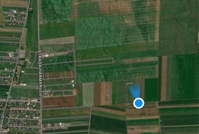 Spațiu comercial, în Tărlungeni - 4