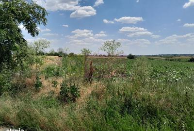 Teren de 16500 mp, în Vărăști - 5