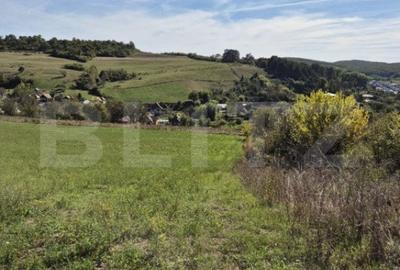 Teren de 12000 mp, în Livezeni - 4