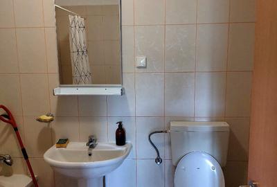 Inchiriere apartament 2 camere Doamna Ghica Plaza - 3