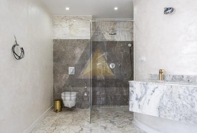 IANCU NICOLAE | VILA INDIVIDUALA CU 12 CAMERE SI PISCINA | MARK TWAIN - 19