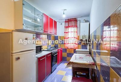 Apartament cu 2 camere semidecomandat în Minerul - 14