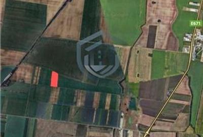 Teren extravilan 8600m agricol Oradea/Nojorid - 1