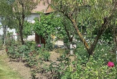 Casă cu 3 camere în Central - 4