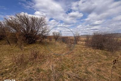 Spațiu comercial, în Sigmir - 2