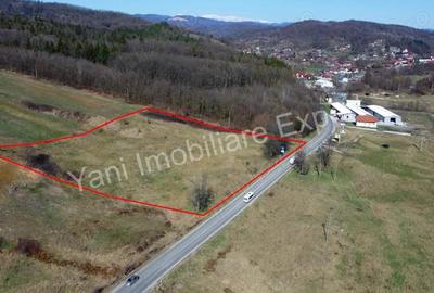 Teren 10.000 mp de vanzare in comuna Valea Ia?ului, jude? Arge?. Teren 10.000 mp de vanzare in comuna Valea Ia?ului, jude? Arge?. - 2