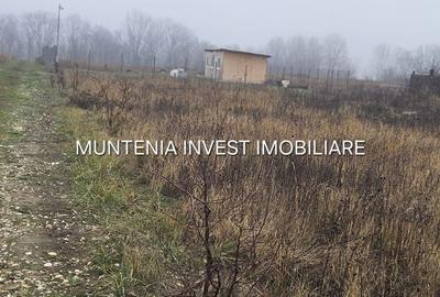 Teren de 935 mp, în Moșoaia - 2