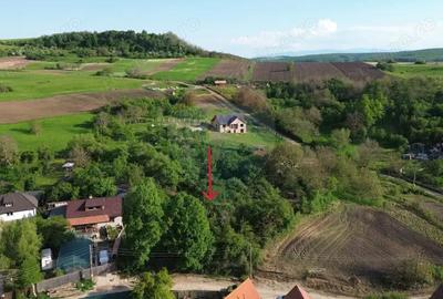 Teren de 3269 mp, în Slimnic - 6