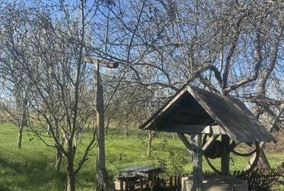 Casă cu 3 camere cu Teren 120 Mp în Băița - 6