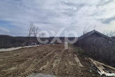 Teren în Albota - 5
